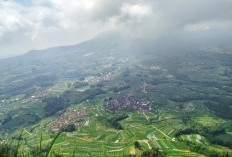 Jembrana Ajak Buleleng Buat Keluar Dari Bali? Usai Masuk Dalam Daftar Daerah Terjauh Dari Denpasar, Dengan Jarak 95,16 Km Dari Pusat Kota