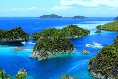 Menyimak Kehidupan Suku Korowai Di Pedalaman Papua yang Hidup di Atas Pohon Populasi Mencapai 3.000 Jiwa