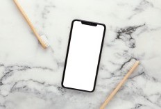 Kejutan Menarik dari Apple, iPhone Akan Tampil Dengan Inovasi Terbaru Dengan Desain Lebih Tipis dan Canggih