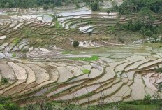 Kabar Terbaru yang Menggembirakan! Pemekaran 3 Provinsi Baru di Sumatera Utara Yang Buat Kota Padang Ketar-Ketir Bakal Digantikan Tapanuli jadi Ibukota Baru