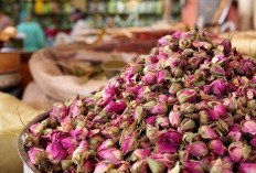 Warisan Budaya dan Pusat Ekonomi Yuk Melihat Lebih Dalam Pasar Tradisional di Sumatera Utara yang Punya Nama Pasar Tikung Awas Pacar Tercinta Bisa Ilenga Disini