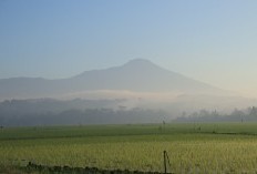 Kabupaten Banyumas Barat Segera Dibentuk dengan Bantuan 8 Kecamatan yang ada di Jateng, Bersiap Gantikan Semarang Sebagai Ibukota?