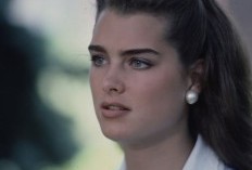 Siapa Brooke Shields? Simak Profil Aktris Cantik Berperan Sebagai Lana dalam Film Mother of the Bride yang Mempunyai Semangat Muda dan Optimis: Umur, Agama dan Nama Suami