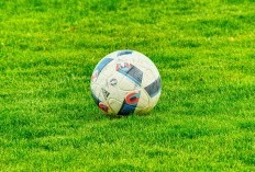 Daftar Tim di League Phase Liga Champions 2024/2025, Mulai Man City, Liverpool, Inter Milan, PSG, Real Madrid Hingga Barcelona