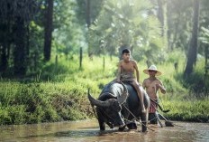 Bikin Bulu Kuduk Merinding! Inilah 7 Pantangan Bagi Orang Sunda yang Bila Dilanggar Dapat Mendatangkan Malapetaka