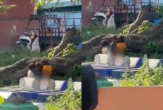 Siapa Orang Tua 3 Bocah Mesum di Kuburan Kecamatan Tallo? Video Viral Direkam Pengendara Lain, Sempat Buka Celana Akibat Keracunan HP?