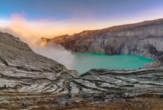 Imbas Tragedi Mengerikan di Kawah Ijen Banyuwangi, Spot Foto Ranting Pohon yang Terkenal Ditutup Sementara, Sampai Kapan?