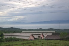 Detik-Detik Tegang, Daftar Kabupaten dengan Jumlah Penduduk Miskin Terbanyak di Jawa Timur Terungkap! Malang Nomor Berapa