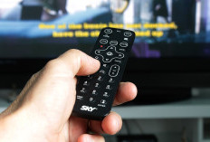 TOP 40 Program TV dengan Rating Tertinggi Hari ini Sabtu 8 Juni 2024, Naik Ranjang dan Saleha Kalah dengan Acara dari RCTI yang Semakin OKE