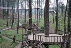  Modal Gak Sampai Rp 20 Ribu Sudah Dapat Pemandangan Begini! 5 Destinasi Wisata Low Budget di Lembang Bandung, Cocok Jadi Tempat Liburan Bersama Keluarga 