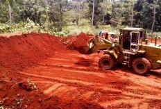 Melihat Lebih Jauh dari Tanah Merah, 9 Manfaat yang Mungkin Belum Disadari dari Tanah Laterit