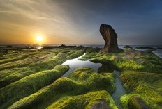 Tak Layak Diragukan! Ini 5 Wisata di Jember Jawa Timur Paling Cocok Dijadikan Nongkrong Sambil Nostalgia Bareng Keluarga atau Teman, HTM MURAH Banget?