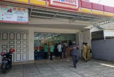 Serbu! Diskon Gokil di JSM Alfamart Minggu Ini 19 Mei 2024: Pampers, Sabun, Protex, dan Detergen Semua Ada! Potongan hingga 25%