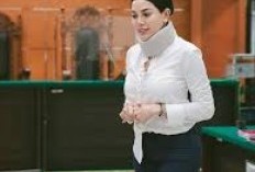 Mengklaim Sudah Kantongi Bukti Kekerasan Dari RI, Nikita Mirzani Siap Bawa Kasus Ini ke Meja Hijau, Pelaku Diduga Rizky Irmansyah 