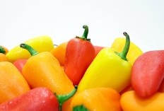 Dapat Memproduksi 114.965 Kuintal Paprika, Wilayah di Jatim ini Punya Jarak 104 Km dari Surabaya yang Terkenal dengan Hawa Dinginnya