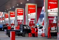 Harga Terbaru BBM Diesel, Baru Naik Coba Bandingkan Harga BBM Diesel Pertamina, Shell, BP & Vivo