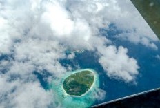 Rahasia Tersembunyi Ada di Jawa Timur, Eksotisme Pulau Seluas 877 Hektar dengan Danau Air Asin yang Memukau