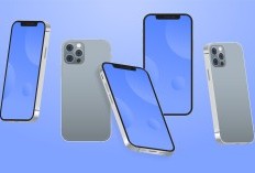 Pantau Daftar Harga iPhone 11-15 Terupdate untuk Bulan Mei 2024, Buruan Cek Sekarang!