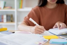 Mencari Tau Pentingnya Meringkas, 5 Alasan Kuat Mengapa Anda Perlu Membuat Ringkasan saat Belajar