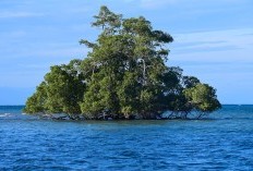 HEBOH! Ini Perbandingan Kota Kupang NTT dan Dili Timor Leste yang Buat Iri Negera Tetangga dengan Kemajuan Bak Amerika