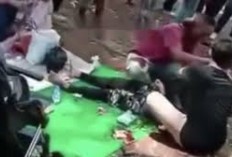Tragis! Dua Wisatawan Tertimpa Pohon di Taman Margasatwa Ragunan Viral di Media Sosial, Pohon yang Lapuk Diduga Jadi Penyababnya 