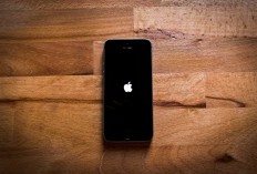 Harga Iphone 14 dan Iphone 15 Pro Max Hari Ini Per Mei 2024 di IBox Alami Penurunan Hingga Rp 1 Jeti? Cek Sekarang Juga Daftarnya