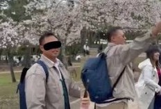 Profil dan Biodata Alfazan Nugroho, WNI yang Diduga Rusak Pohon Sakura di Jepang, Banjir Kritik Netizen Dikatai Bikin Malu: Lengkap Dengan Akun IG