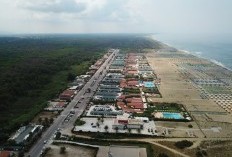 Bukan Bone Apalagi Luwu, 4 Kabupaten Terluas di Provinsi Sulawesi Selatan, Juaranya Punya Luas 7.422,418 Km2