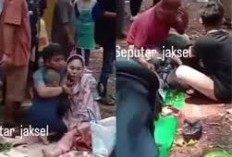 Kronologi Dua Pengunjung Tertimpa Pohon di Ragunan Hingga Dirawat di RSUD, Begini Tanggapan Pihak Taman Ragunan