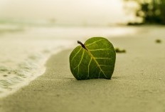 3 Destinasi Pantai yang Menawan, Siap Mengajak Anda Merasakan Romantisme dan Pesona Alam Memukau, Tawarkan Budget Murah?