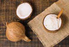 Kehebatan Tersembunyi di Tempurung Kelapa, 7 Keunggulan yang Bakal Bikin Terpesona