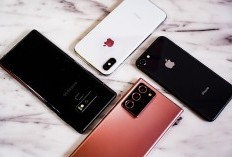Mau Beli HP? Lihat Dulu Harga iPhone 11, 12, 13, 14, dan 15 Terbaru Hari Ini Minggu 19 Mei 2024!