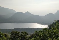 Mengapa Diberi Nama Warung Madura? Berikut Arti Dibalik Nama Warung Madura yang Buka 24 Jam dan Tutup Ketika Kiamat