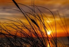 Berburu Senja di Pantai? Inilah Surga Dunia Hidden Gem di Kulon Progo DIY Nikmat Angin Sepoi-Sepoi, Tempuh Perjalanan Cuma 60 Menit dari Kota?