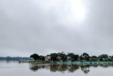 Tarakan Pecah dari Kaltim, Kota Berusia 24 Tahun yang Memilih Pisah dari Pulau Kalimantan Demi Gabung Daerah Baru dengan Ekonomi Lebih Maju?