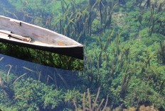 Benarkah Orang Sunda Dilarang Menikah dengan Suku Jawa? Berikut 7 Pantangan Unik yang Masih Dipercayai Masyarakat Sunda
