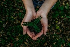  25 Caption Kalimat Memperingati Hari Bumi 2024 dengan Kutipan Memukau yang Akan Merubah Cara Pandangmu dan Para Followers