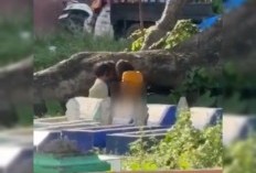Video Viral 3 Bocah Mesum di Kuburan Tiru Vidio di HP? Mirip Adegan Hubungan Suami Istri, Warganet Sayangkan Kelalaian Orang Tua