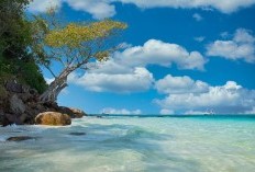 Alamat Lengkap Pantai Kuyon Trenggalek, Cek Lokasi dan Rute, Harga Masuk, Spot Estetik hingga Tips Wisata