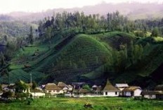 Berada di Ketinggian 2.200 Mdpl, Desa di Lumajang Memukau Dengan Keindahan Alamnya, Terkenal di Kalangan Pendaki dan Cocok Jadi Tempat Meditasi