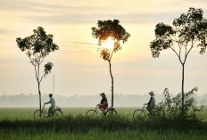 Pemalang Termiskin? Ini Dia Daftar Kabupaten Miskin di Jawa Tengah yang Warganya Tidak Sejahtera dan Serba Kekurangan? BPS 2021, Gimana Nasibnya Sekarang? 