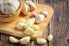 Mengungkap Keajaiban Bawang Putih untuk Merpati, Perawatan Alternatif yang Menakjubkan dan Hemat