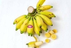 Pisang Muli Superfood yang Tak Terduga, Berikut 19 Manfaat Luar Biasa untuk Kesehatan