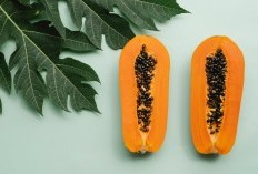 Pahitnya Hilang! Cara Rebus Daun Pepaya Agar Tidak Pahit, Begini Manfaatnya Bagi Kecantikan dan Khasiat Dahsyat Daun Pepaya Rebus Buat Tubuh Sehat dan Kuat!
