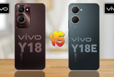 Kehadiran Vivo Y18 Bikin Ketar-Ketir, Teknologi Layar 90Hz dan Kamera Unggulan dalam Ponsel Entry-Level, Begini Spesifikasi dan Harganya 
