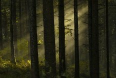 Menyibak Misteri Dusun Gembyang: Permukiman Kuno di Tengah Hutan Mojokerto yang Didirikan Sesepuh Desa yang Kini Sudah Dimiliki Keturuna ke-12