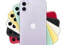 Update Terbaru Harga Iphone di Tahun 2024: Iphone X, Iphone XR, Iphone 11, Iphone 12, Hingga Iphone 15: Ada yang Harganya Rp 4 Juta