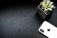 Lagi Cari iPhone? Intip Harga iPhone 11-15 Terupdate Hari Ini, 19 Mei 2024 di IBox Adakah yang Promo dan Dapat Potongan Harga?