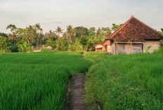 Kabar Hangat dari Sumatera Utara! Gosip Pemekaran 5 Provinsi Membuat Gempar, Daerah Ini Direkomendasikan Pecah Jadi Wilayah Baru, Fakta atau Wacana?