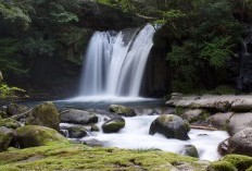 Dimana Letak Air Terjun Tertinggi Kedua di Indonesia? Benarkah ada di Jawa Timur dan Pernah jadi Tempat Petapaan Patih Gajah Mada